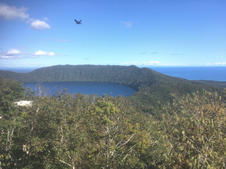 社員旅行の様子